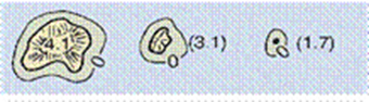 QuestionImage